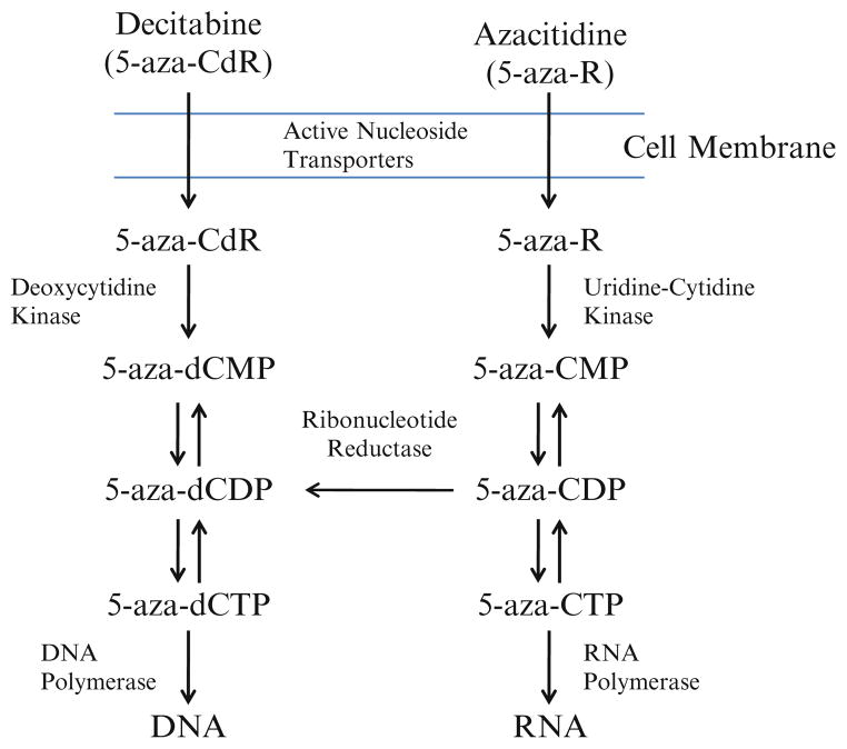 Fig. 13.3