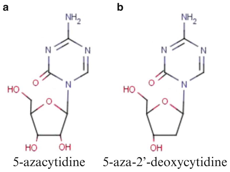 Fig. 13.2