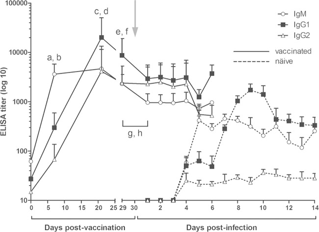 FIG 2