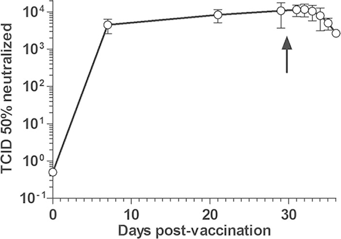 FIG 1