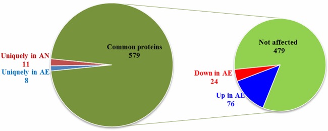 FIG 3