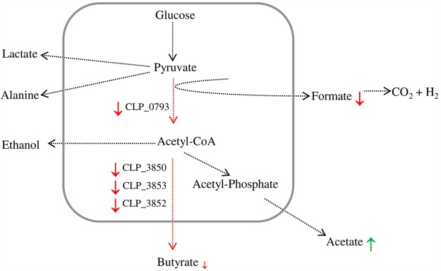 FIG 7