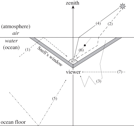 Figure 1.