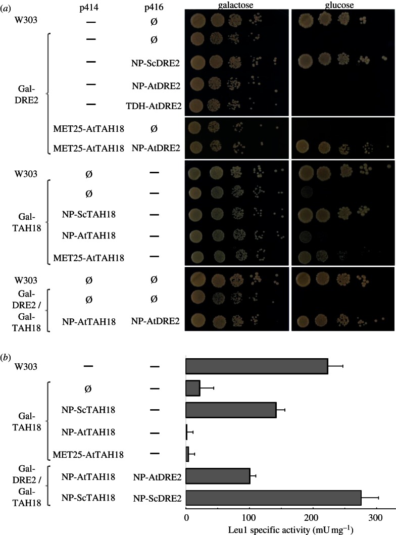 Figure 2.