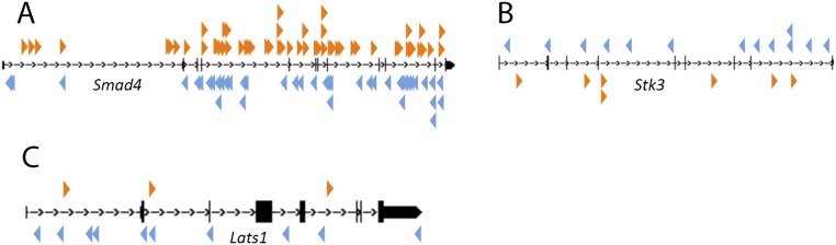 Fig. S3.