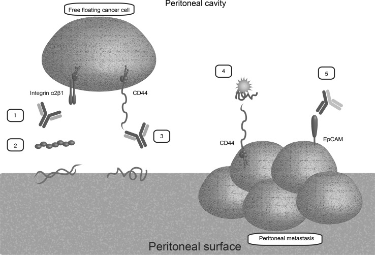 Fig. 4