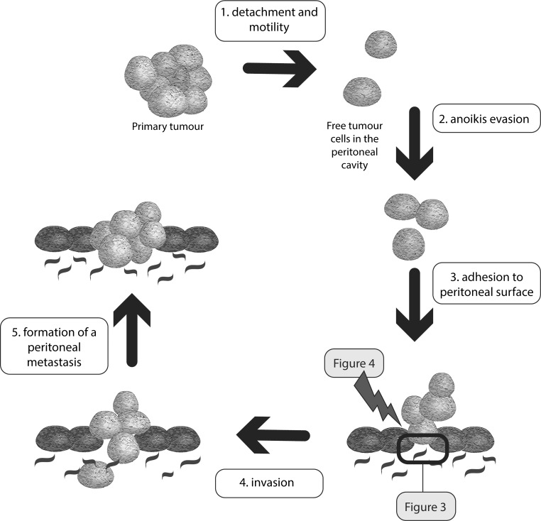 Fig. 2