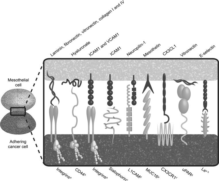 Fig. 3