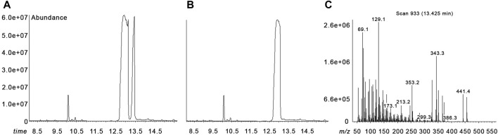 FIGURE 2