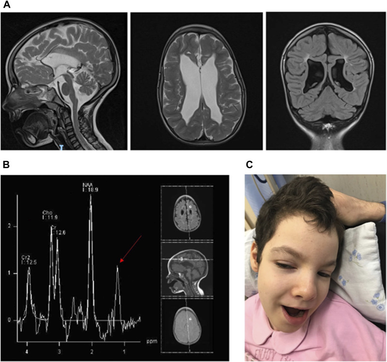 FIGURE 1