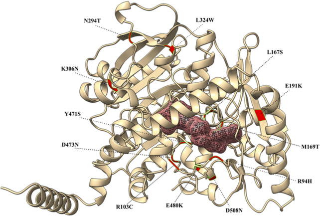 FIGURE 3