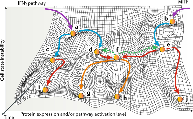 Fig. 3 |