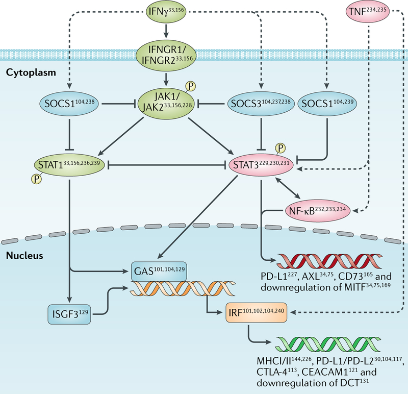 Fig. 4 |