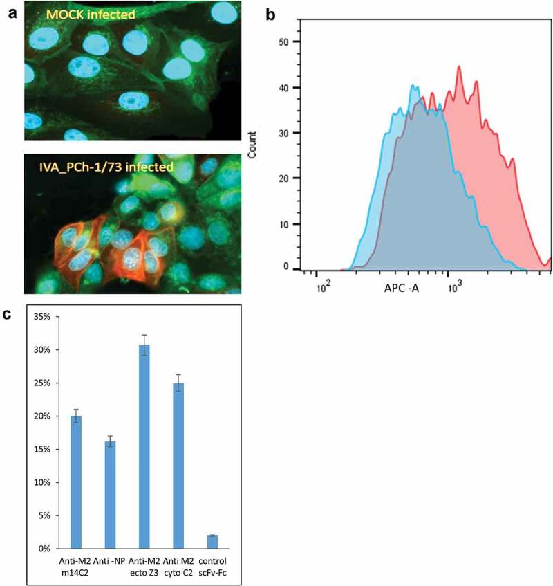 Figure 4.