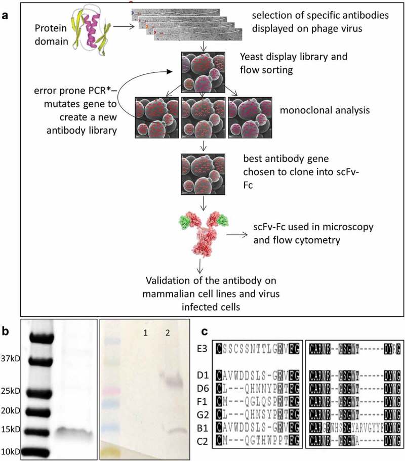 Figure 1.