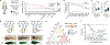 Fig. 1 |