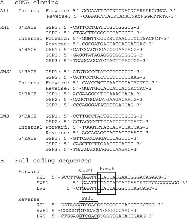 Figure 1.—