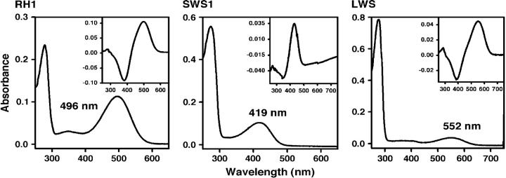 Figure 2.—