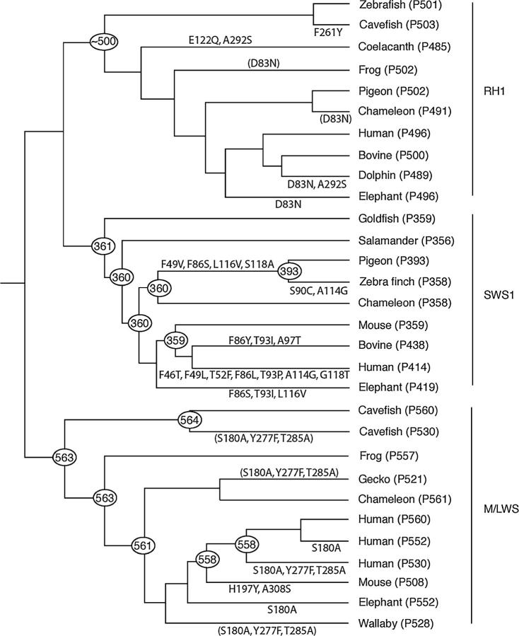 Figure 3.—