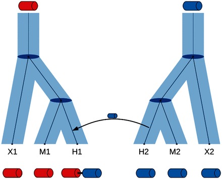 Fig. 1.