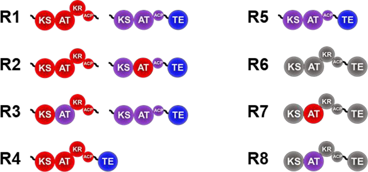 Figure 2.