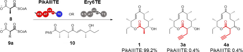 Scheme 2.