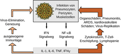 Abbildung 1