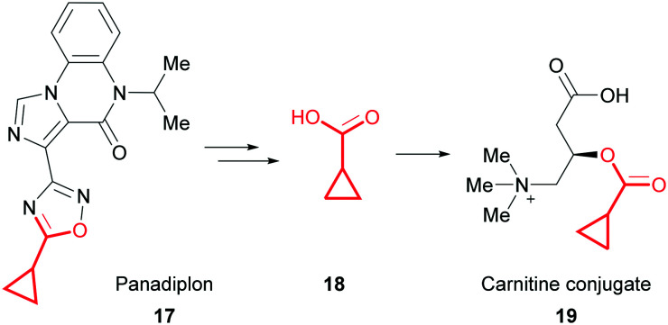 Fig. 11