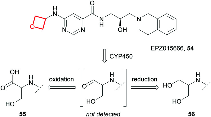 Fig. 25