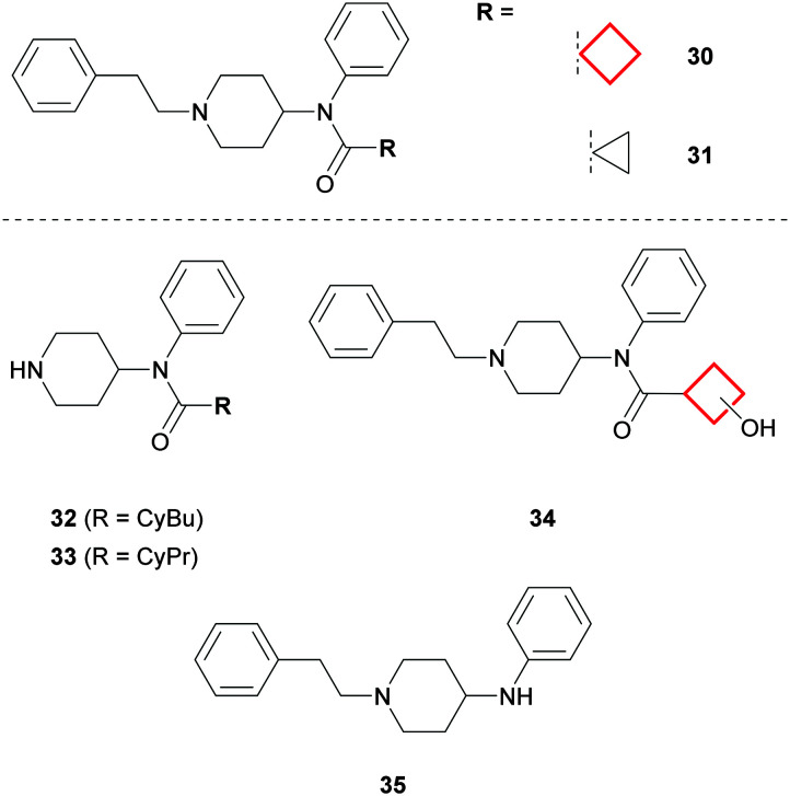 Fig. 17