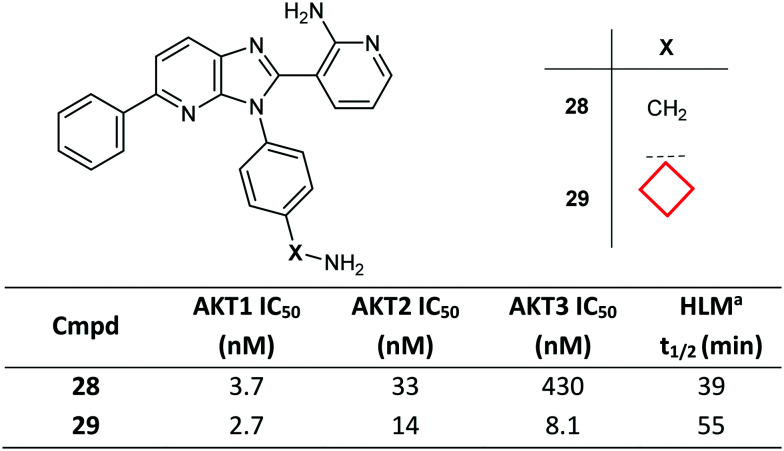 Fig. 16