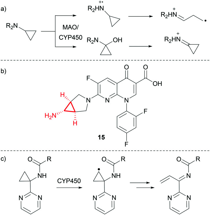 Fig. 9