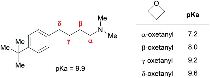 Fig. 19