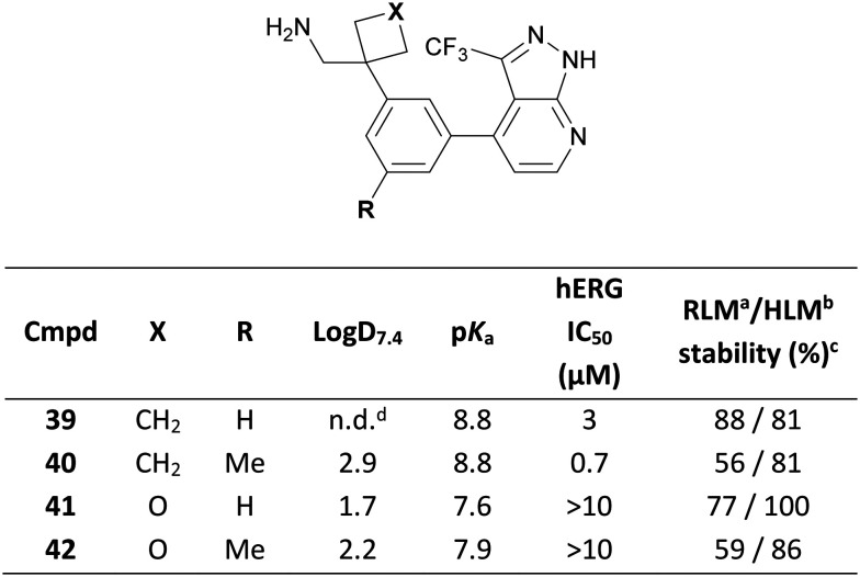 Fig. 20