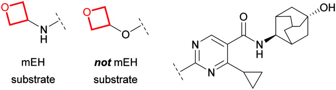 Fig. 26