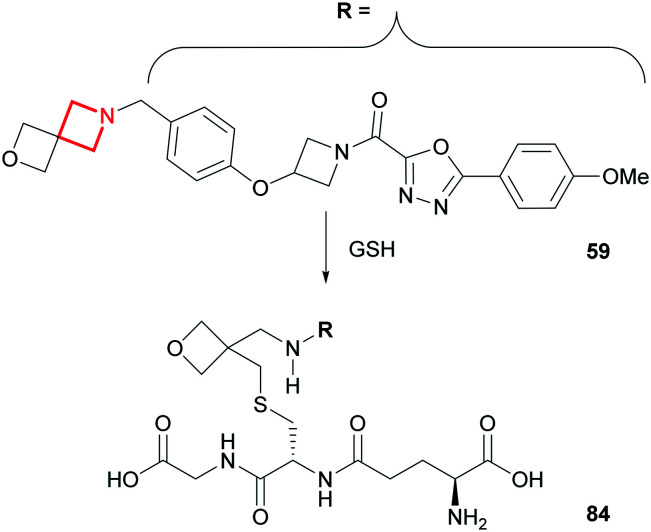 Fig. 36