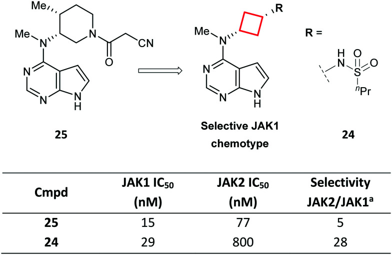 Fig. 14