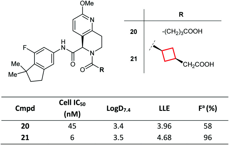 Fig. 12