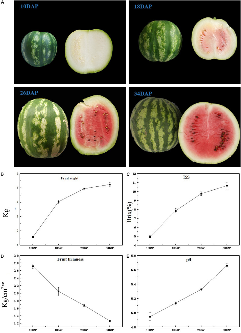 FIGURE 1