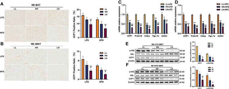 Figure 6