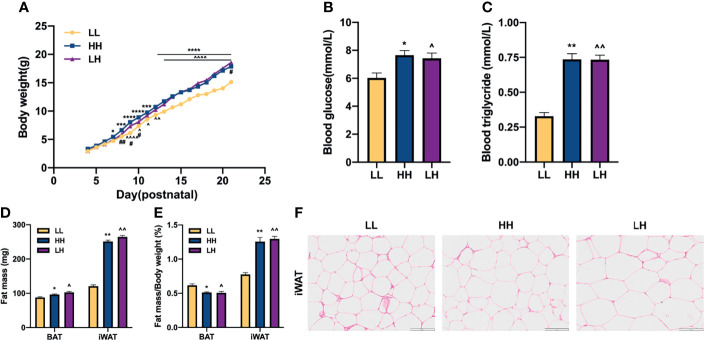 Figure 2