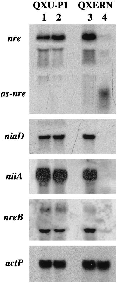 FIG. 6