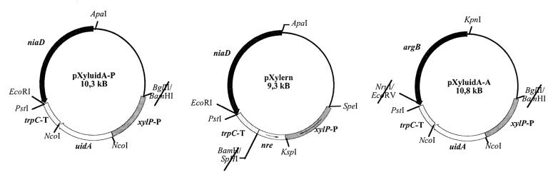 FIG. 1