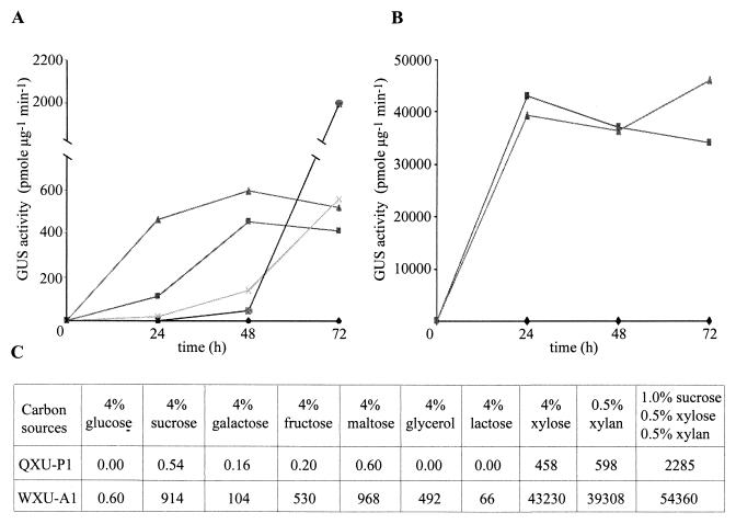 FIG. 3