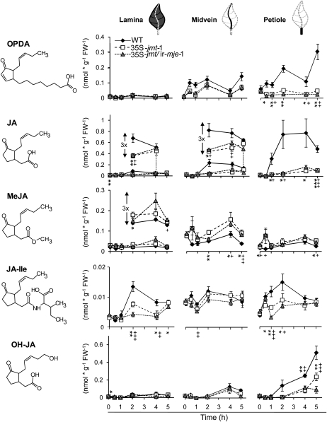 Figure 5.