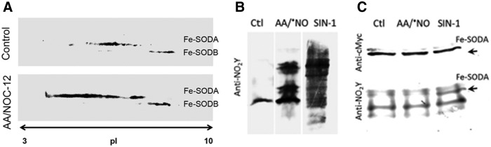 FIG. 6.