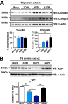 FIG 3