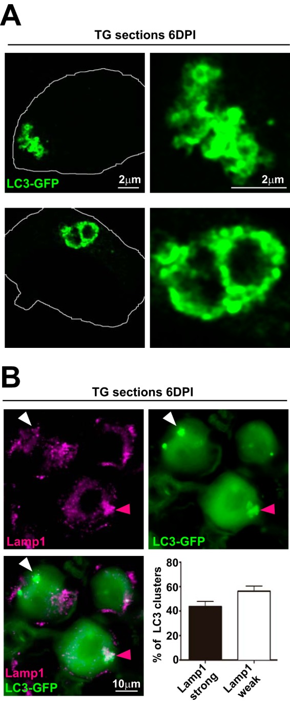 FIG 2