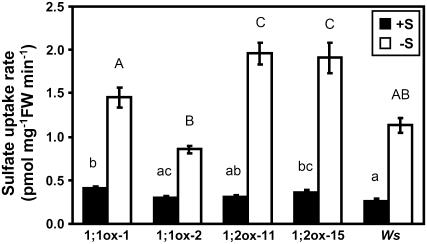 Figure 9.