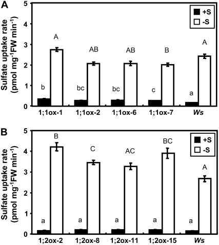 Figure 6.